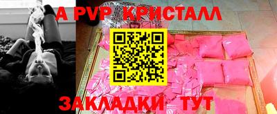 тгк Гай