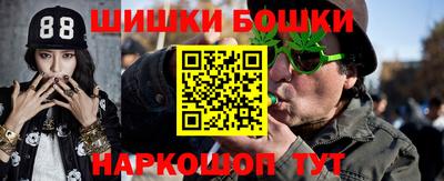 индика Гагарин