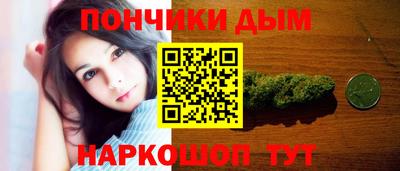 тгк Гай
