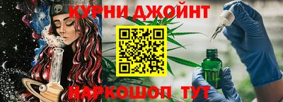 тгк Гай