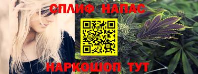 амф Гатчина