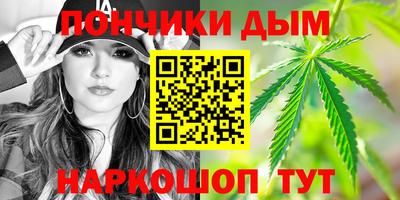 индика Гагарин