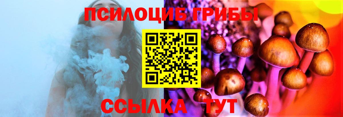 Галлюциногенные грибы Psilocybe  Вход с VPN  Междуреченск  как найти закладки  Псилоцибиновые грибы мухоморы 